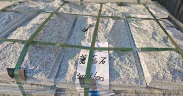 儋州芝麻白蘑菇石，自然面