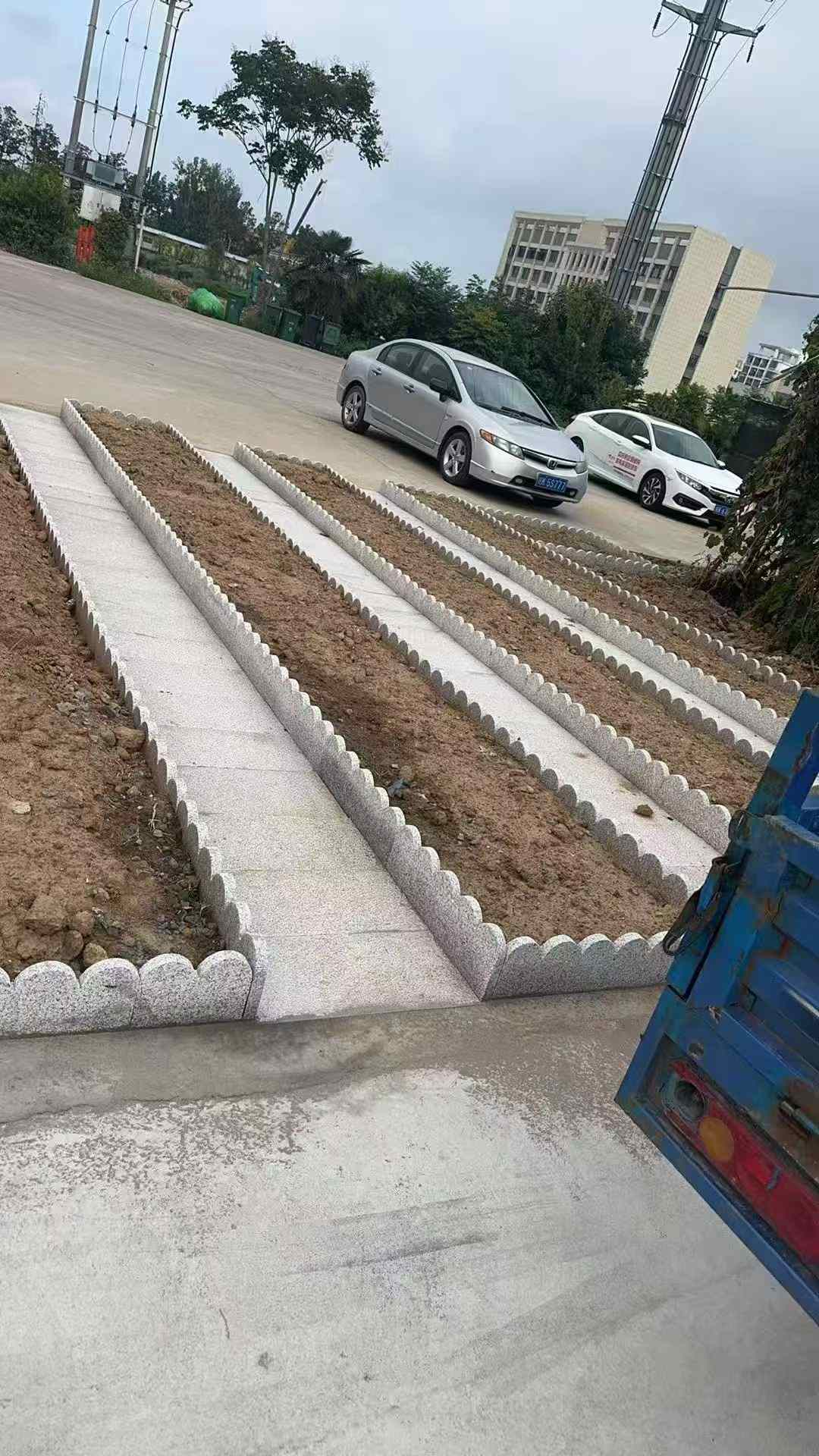 儋州芝麻白花边石